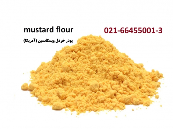 contents_tab/y-mustard-1401071734160393.jpg